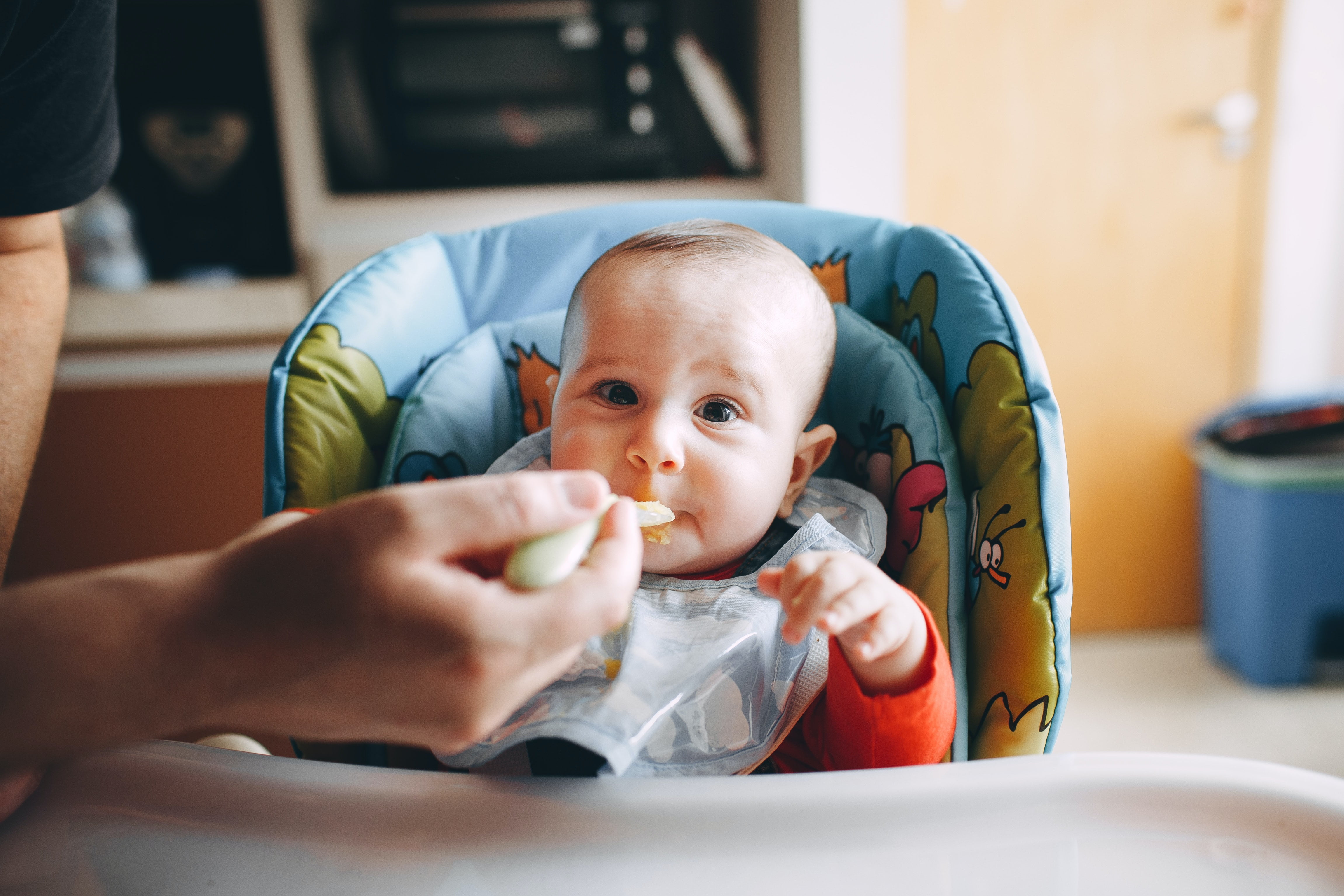 Cute and Practical Baby Bib for Mealtime Messes